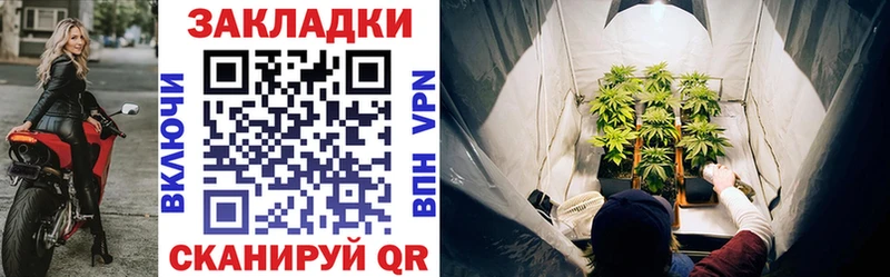 Купить наркотики Сегежа Марихуана  Амфетамин  ГАШ  ТГК  Alpha PVP 