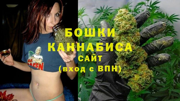 ALPHA PVP Приозерск