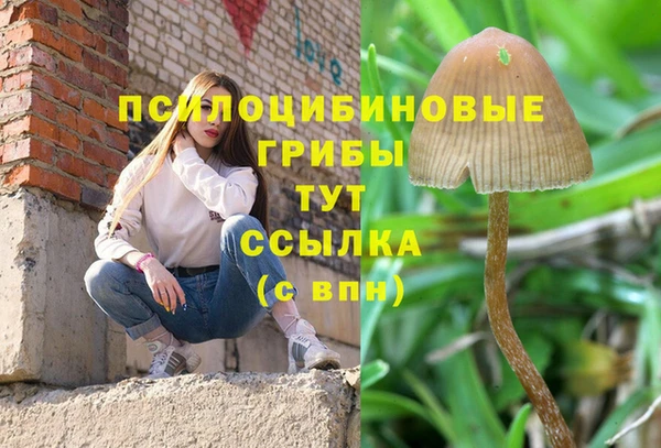 каннабис Пролетарск