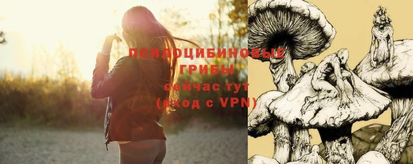 ALPHA PVP Приозерск