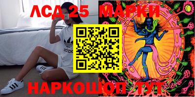 шишки Кандалакша