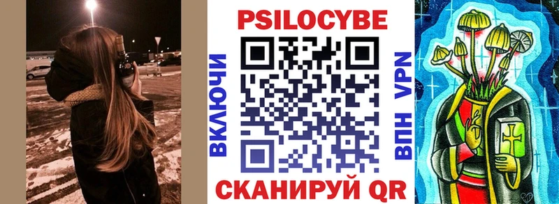 Псилоцибиновые грибы Psilocybe  Сегежа 
