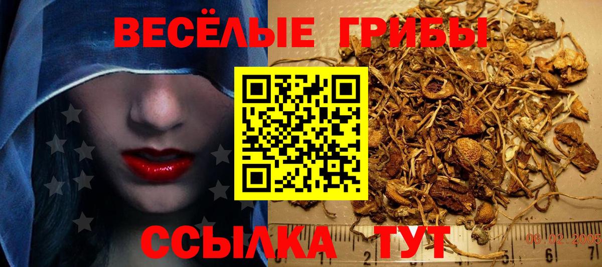 Псилоцибиновые грибы прущие грибы Сегежа