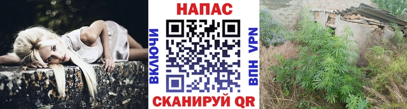 Конопля OG Kush  Сегежа 
